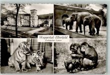 W5600 Elberfeld Elefanten Tiger Schimpansen Zoo