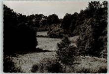 57632 W5232 Rott , Westerw FOTO KEINE AK am Fischweiher Foto Original aus Archiv eines Ansichtskartenverlags Ort handschriftlich