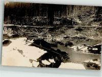 Zerstörung v. Brücke Bäume Hochwasser Privatfoto AK