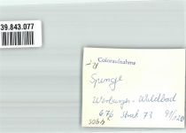 32139 W4905 Spenge FOTO KEINE AK Werburger Waldbad Foto Original aus Archiv eines Ansichtskartenverlags