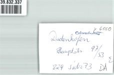 63110 W6054 Dudenhofen , Kr Offenbach am Main FOTO KEINE AK Foto Original aus Archiv eines Ansichtskartenverlags Hauptstraße Oldtimer Ort handschriftlich