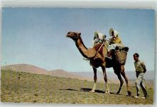 Frauen Lanzarote Kamel