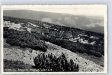 Geiergucke, Wiesenbaude