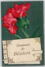34500 Beziers - Leporello . rote Rosen