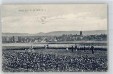 97353 W8714 Wiesentheid - Felder