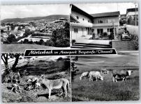 69509 W6942 Mörlenbach - Pension Breier