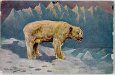 Eisbär signiert Eisbär Künstlerkarte