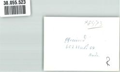 92536 W8473 Pfreimd FOTO KEINE AK Winter Kirche Ort handschriftlich Foto Original aus Archiv eines Ansichtskartenverlages