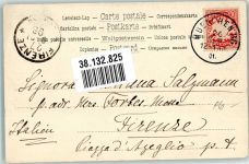 Vier kleine Hundwelpen Welpe 1901