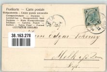 Ein Rappe und ein Schimmel Pferd 1903 Künstlerkarte