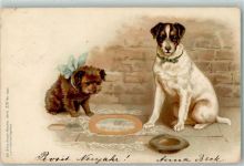 Hunde betteln mit einem Hut Lithographie AK Hund 1898 Gebrauchsspuren