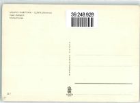 48015 Cervia - Matteottiallee Autos