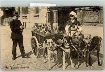 Hundekarren