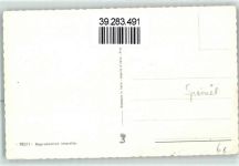Welpe 932/11 Spaniel