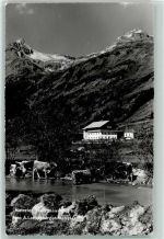 9971 Matrei in Osttirol - Matreier Tauernhaus Kühe