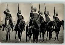 Pferde Militär Algerien