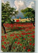 Klatschmohn Ecken beschädigt Natur 1911 Künstlerkarte