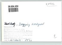 88167 W8999 Riedholz , Allgäu FOTO KEINE AK Ort handschriftlich Foto Original aus Archiv eines Ansichtskartenverlags