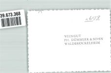 55596 W6558 Waldböckelheim FOTO KEINE AK Weingut Dümmler Foto Original aus Archiv eines Ansichtskartenverlags