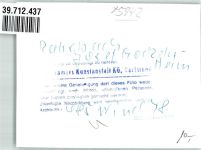57399 W5942 Rahrbach FOTO KEINE AK Foto Original aus Archiv eines Ansichtskartenverlags Josef-Gockeln-Ferienheim Ort handschriftlich