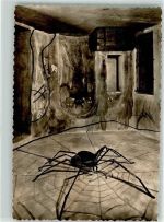46325 W4280 Borken , Westf FOTO KEINE AK Spinne Foto Original aus Archiv eines Ansichtskartenverlags Ort handschriftlich