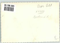 46325 W4280 Borken , Westf FOTO KEINE AK Spinne Foto Original aus Archiv eines Ansichtskartenverlags Ort handschriftlich