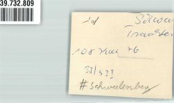 31606 W3079 Schwalenberg FOTO KEINE AK Trachtengruppe vor dem Rathaus Foto Original aus Archiv eines Ansichtskartenverlags Ort handschriftlich