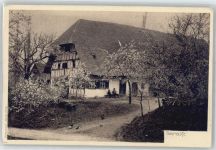 Baumblüte Volksleben Schwarzwald
