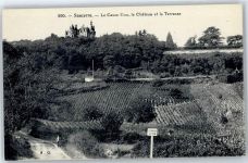 18300 Sancerre - Burg, Weinberge