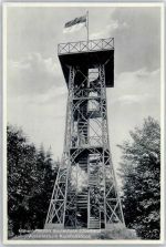 38678 W3392 Buntenbock - Aussichtsturm Kuckholzklippe