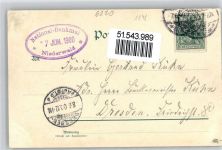 65385 W6220 Niederwald , Jagdschloß 1900 Lithographie Nationaldenkmal