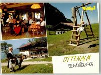 6344 Walchsee Foto AK Gasthaus Jausenstation Ottenalm Ziege