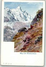 Grossglockner Weg zum Glocknerhaus Compton, T. 1908 Künstlerkarte