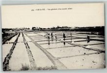 Ile de Ré La Rochelle Nr. 375 J.Nozais edit. Salzanlagen - vue generale d`un marais salant AK Salzbergwerk