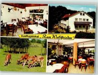 48329 W4409 Havixbeck - Gasse zum Waldfrieden Damwild