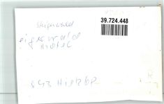 96193 W8602 Wachenroth FOTO KEINE AK Gasthaus Motel Steigerwald Auto Ort handschriftlich Foto Original aus Archiv eines Ansichtskartenverlags
