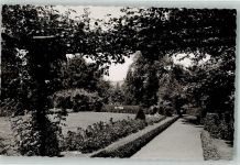 53489 W5485 Sinzig , Rhein FOTO KEINE AK Parkanlage Foto Original aus Archiv eines Ansichtskartenverlags Ort handschriftlich