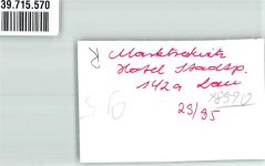 95615 W8590 Marktredwitz FOTO KEINE AK Hotel Stadtpark Gastraum Gäste Kellner Blumen Geweih Ort handschriftlich Foto Original aus Archiv eines Ansichtskartenverlags