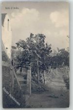 Fichi d´India Motiv Indien