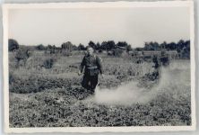 06917 O7940 Jessen (Elster) Foto AK Landwirtschaft Ort lt. Fotograf
