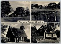 18375 O2382 Born , Darß - Dorfpartie
