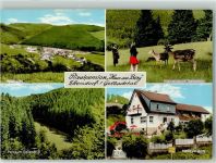 56410 W5430 Ettersdorf Foto AK Panorama des Ortes Pension Haus am Berg Hochwildpark Gelbachtal