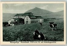 Wiesenbaude - Riesengebirge