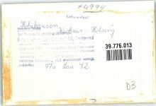32361 W4994 Holzhausen , Kr Lübbecke, Westf FOTO KEINE AK Schwimmbad im Kurhaus Holsing Foto Original aus Archiv eines Ansichtskartenverlags Ort handschriftlich