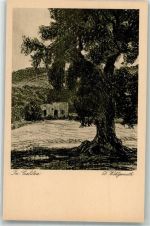 Tiberias Künstlerkarte sign. wohlgemuth,D. Galiläa