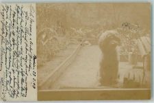 Pudel 1903