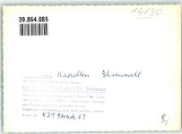 47441 W4130 Kapellen , Kr Moers FOTO KEINE AK Ehrenmal Ort handschriftlich Foto Original aus Archiv eines Ansichtskartenverlags