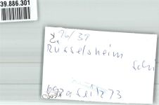 65428 W6090 Rüsselsheim FOTO KEINE AK Ort handschriftlich Foto Original aus Archiv eines Ansichtskartenverlags