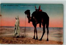 Nr. 6049 Scenes et Types - La Priere au Desert Kamel Verlag Levy et Neurdein Paris Volkstypen / Brauchtum Algerien