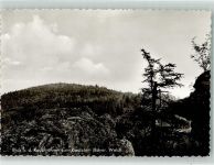 93474 W8491 Arrach , Bayerischer Wald Foto AK Blick zum Riedlstein